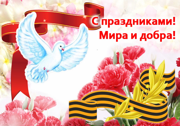 Жалюзи Брянск